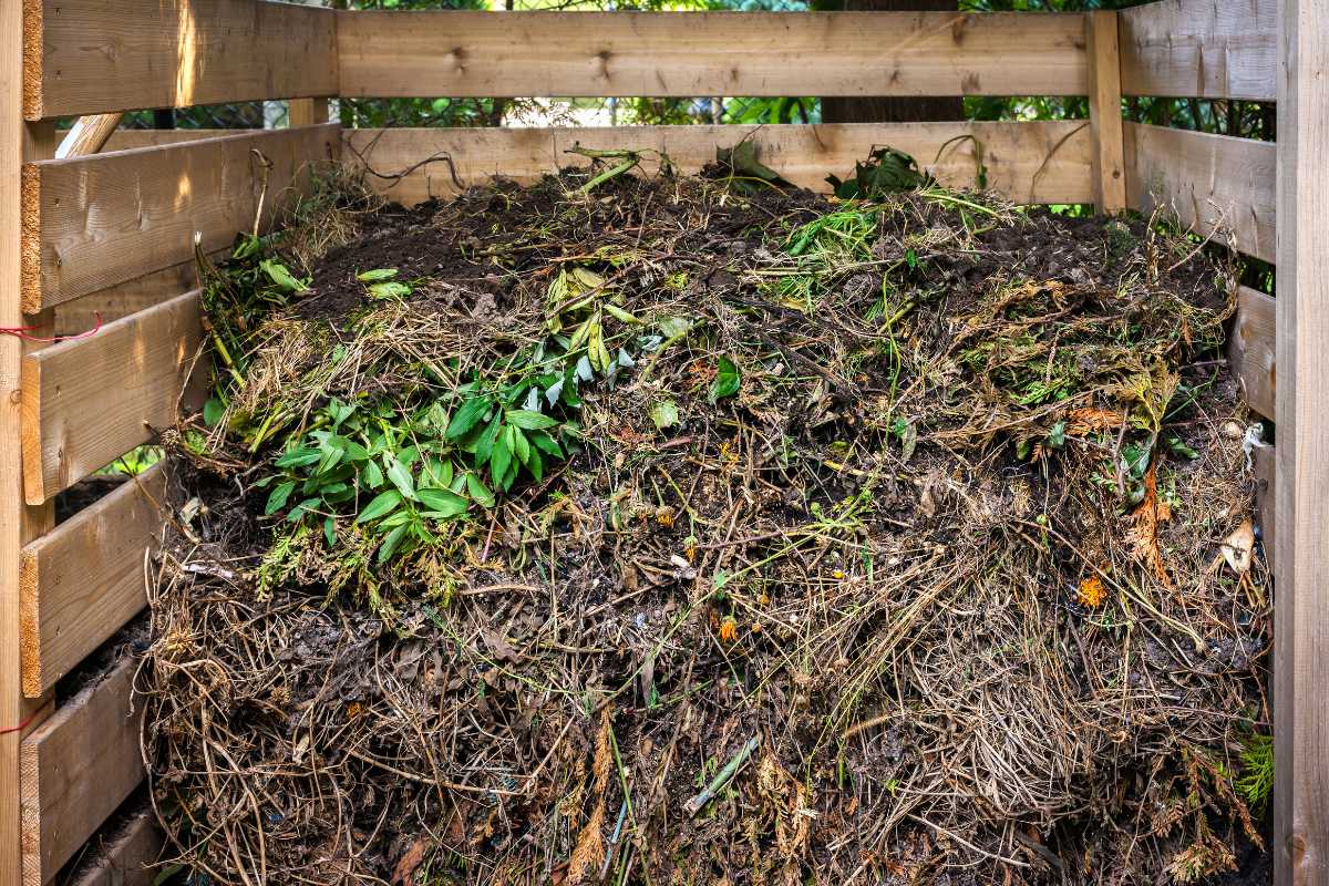 A wooden compost bin filled with a mixture of garden waste, including leaves, grass clippings, and small branches.