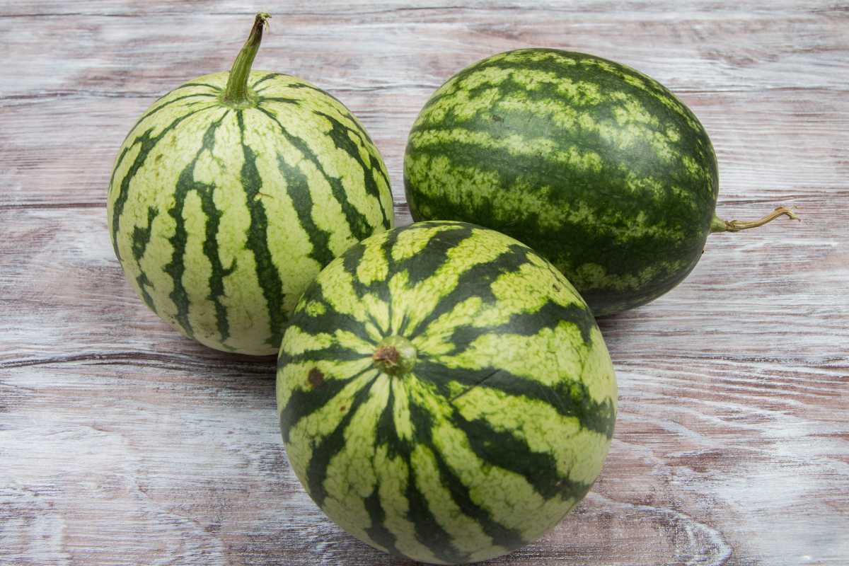 Three whole watermelons are arranged on a rustic, light wooden surface. Two of the watermelons have a striped green pattern, while the third one is mostly dark green with subtle stripes. 