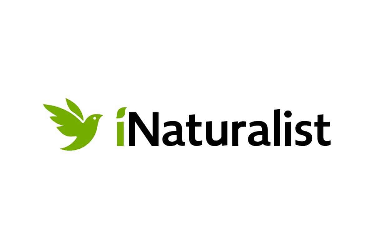 Inaturalist Logo