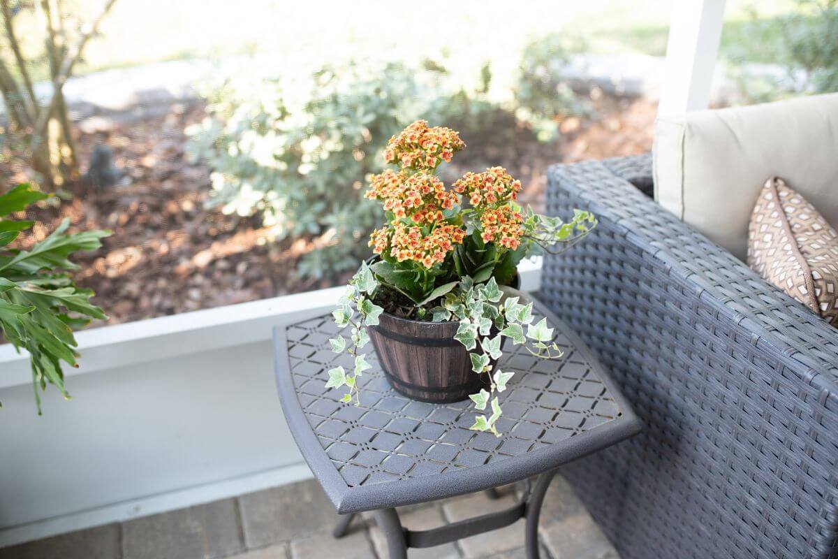 A small potted kalanchoe with orange flowers and green ivy sits on a gray metal table with a lattice design.