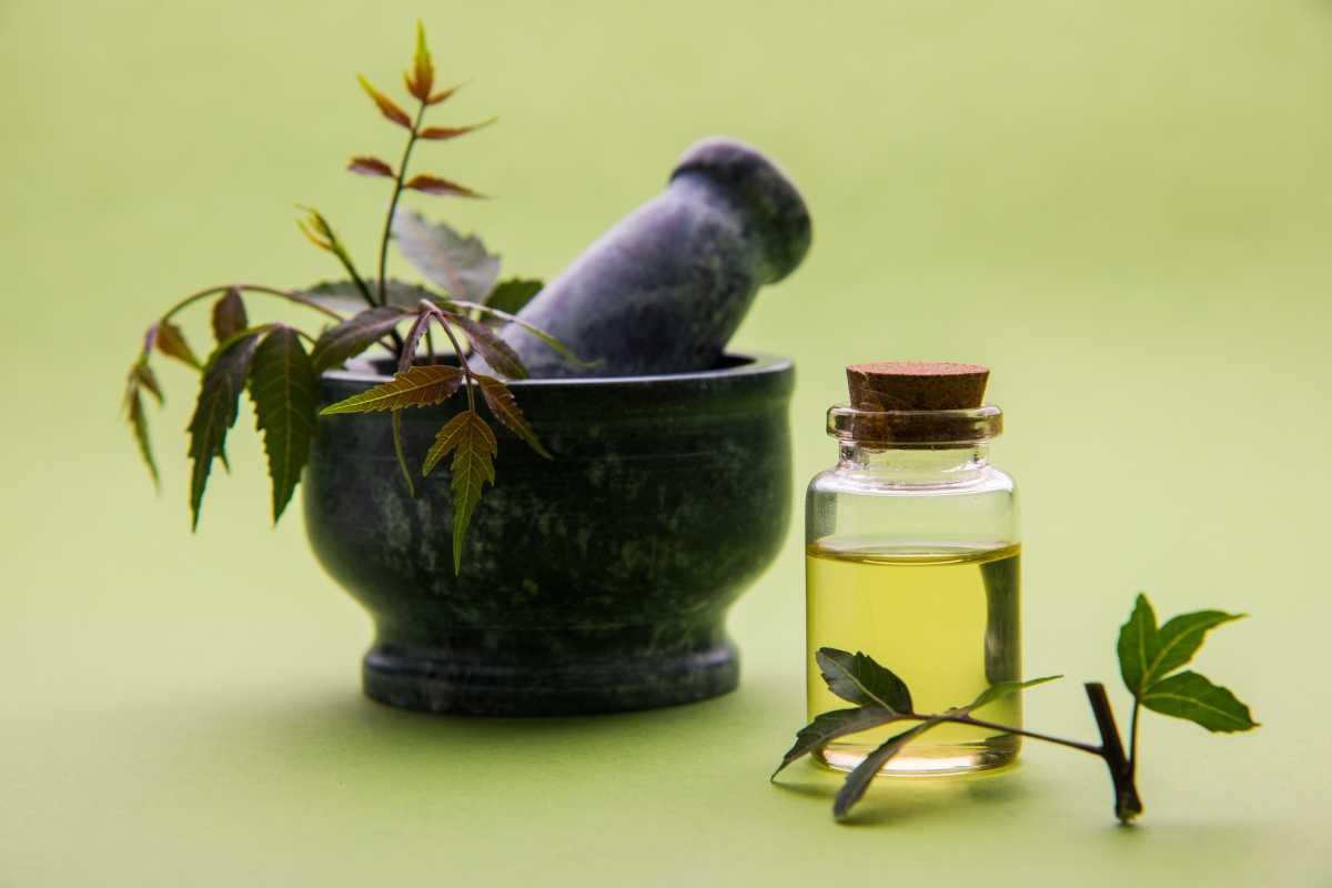 A stone mortar and pestle with green leaves is placed beside a small glass bottle of neem oil. 