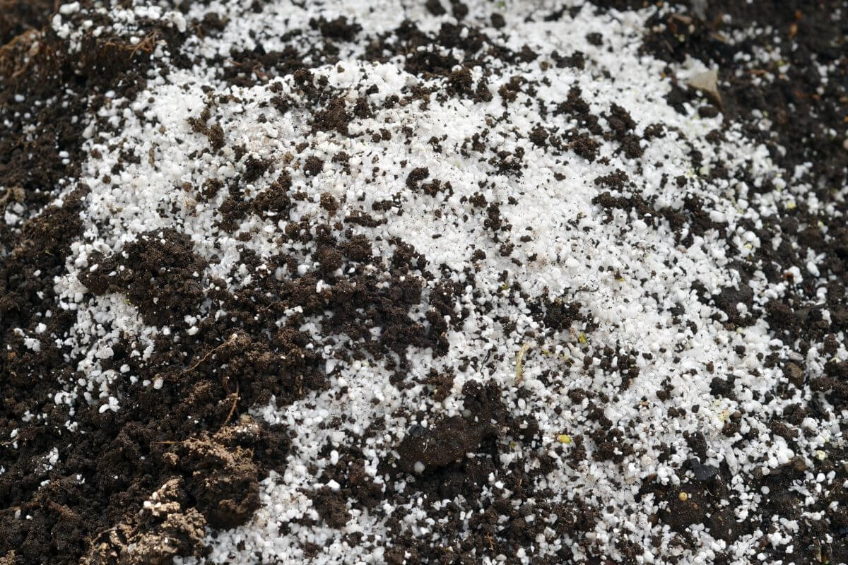 A close-up of dark organic gardening soil mixed with white perlite granules.