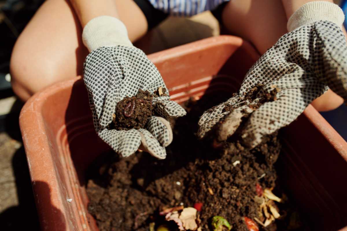 A person wearing dotted gardening gloves, holding a clump of compost soil over a red container filled with composting materials and various types of fertilizers. 