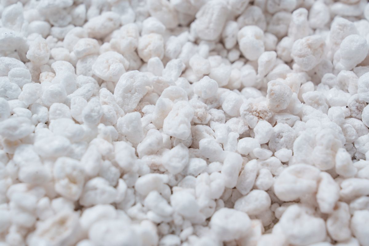 Close-up image of a cluster of small, irregularly shaped white perlite.