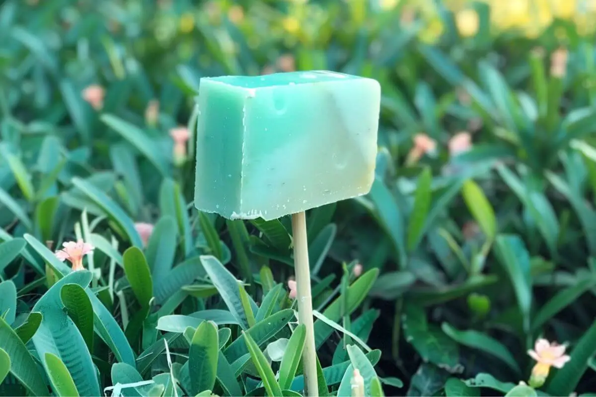 A rectangular bar of green soap is mounted on a stick in a garden, one of the methods on how to keep animals out of the garden.