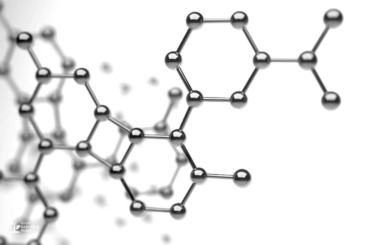 Pyrethrin Molecules