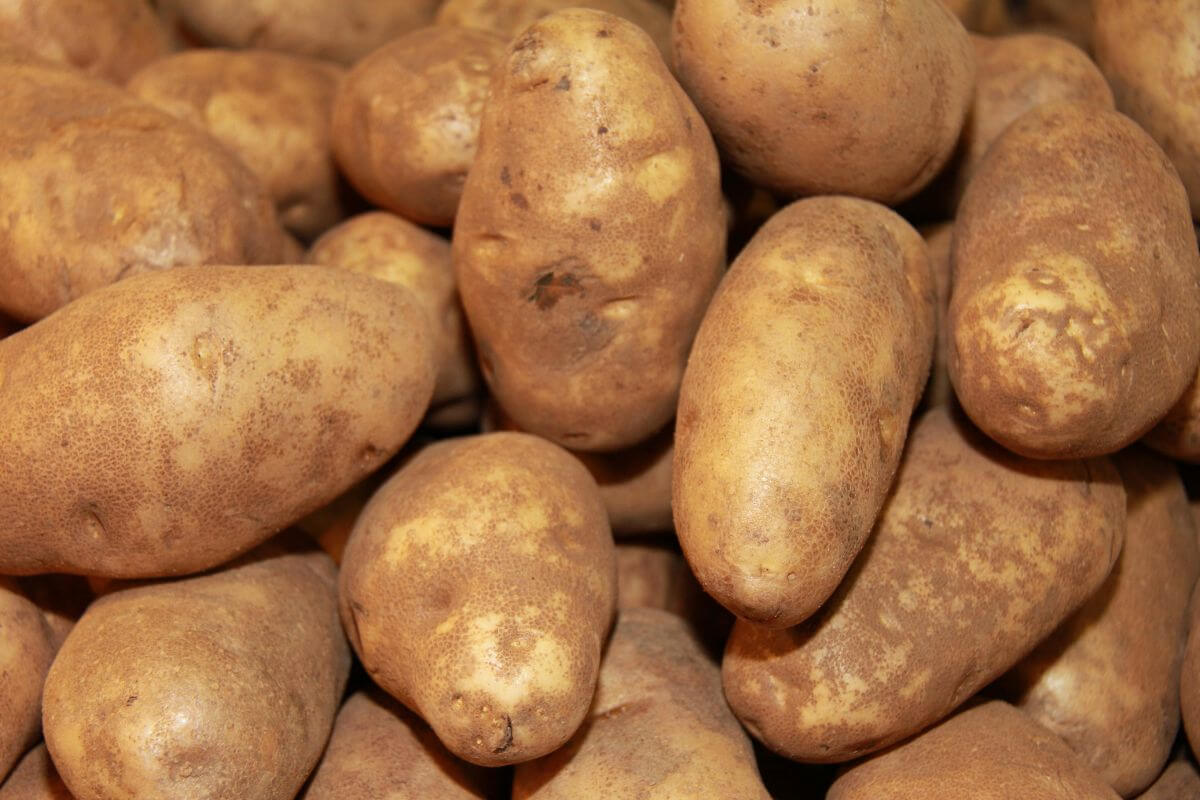 A pile of unpeeled, raw russet potatoes with brown, rough skin. 