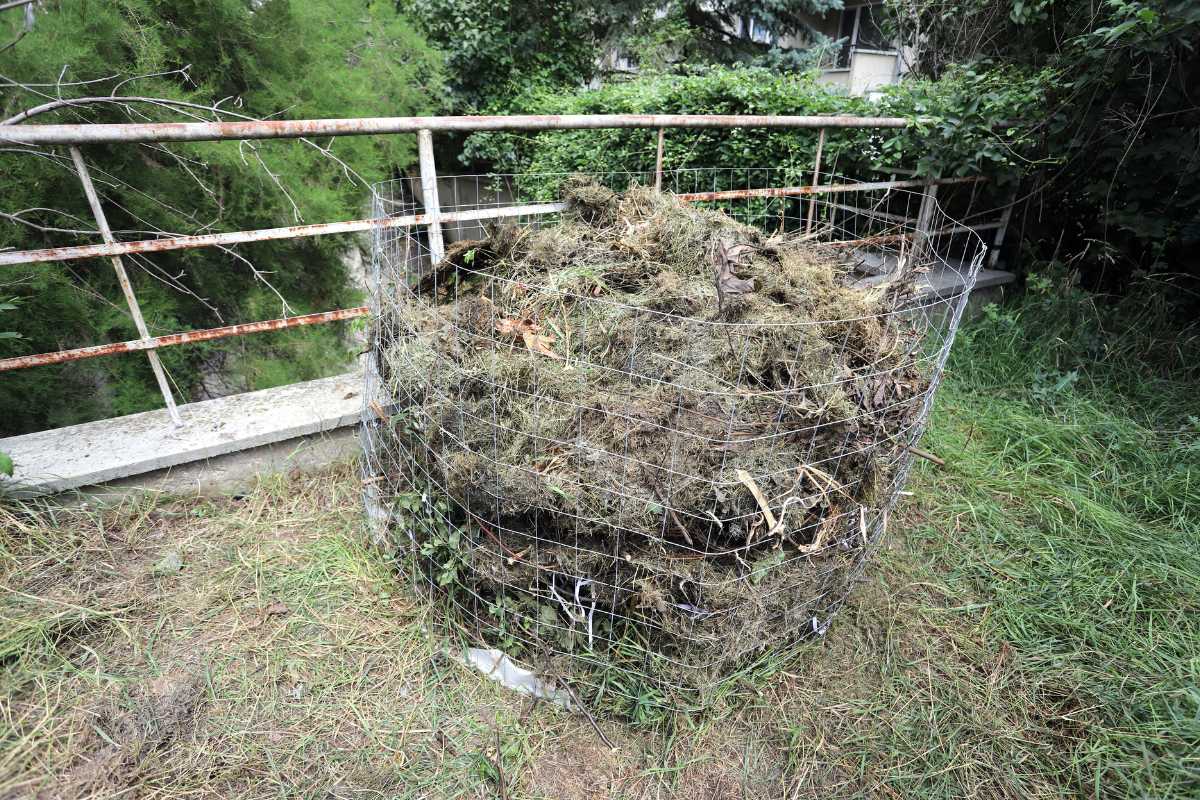 A composting bin filled with decomposing organic brown matter, including grass clippings, sits on a patch of grass near a rusted metal fence.