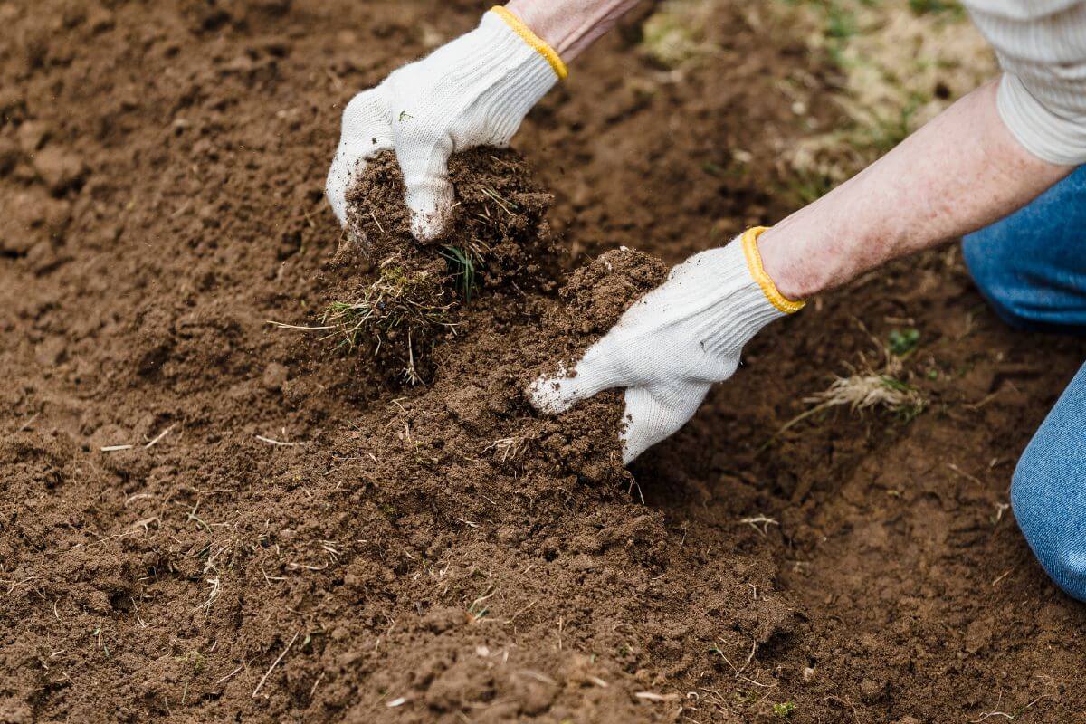 A person wearing white gloves is kneeling on the ground, using both hands to break apart and sift through brown soil.