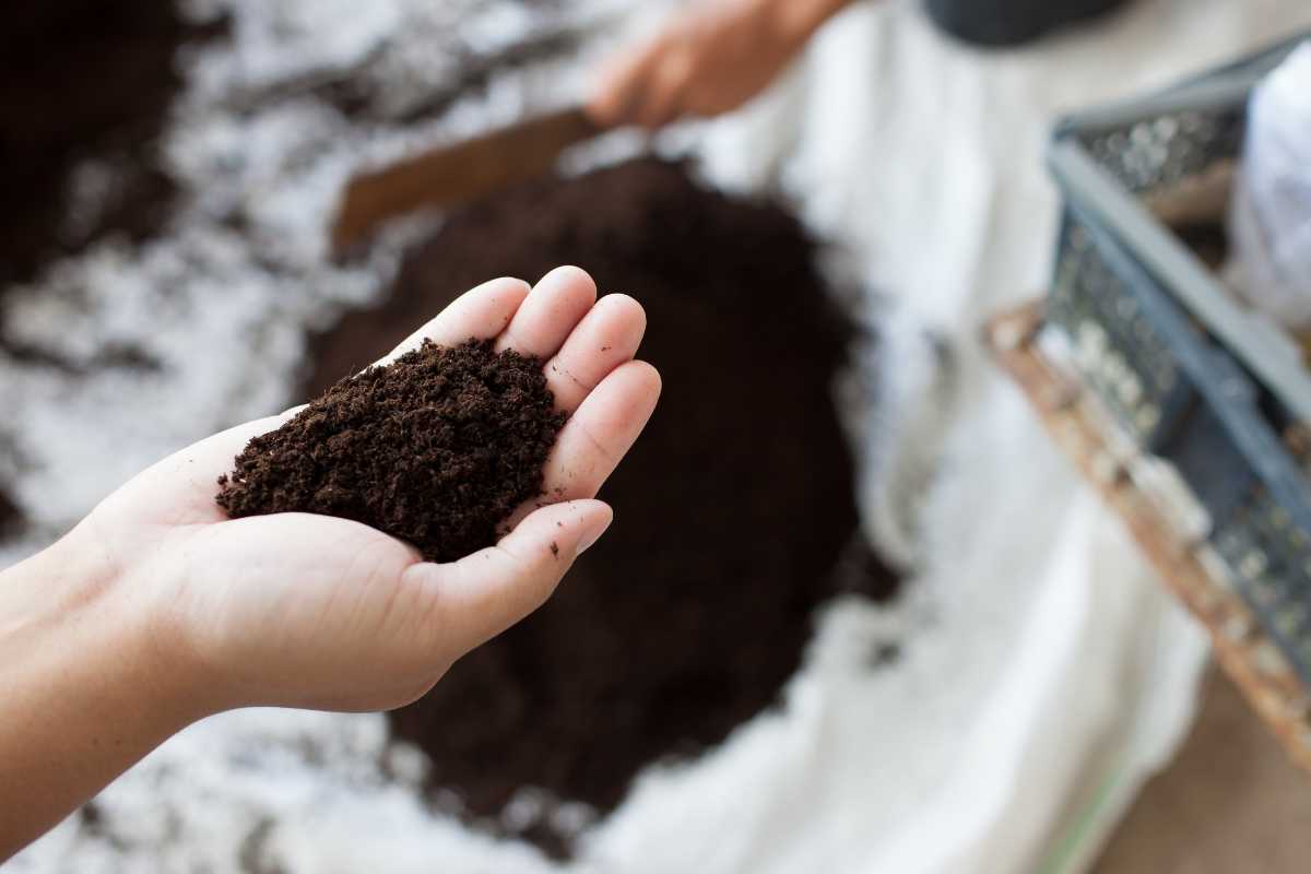 A hand holding rich, dark soil over a larger pile, with another person's hand using a tool to tend the earth nearby. 