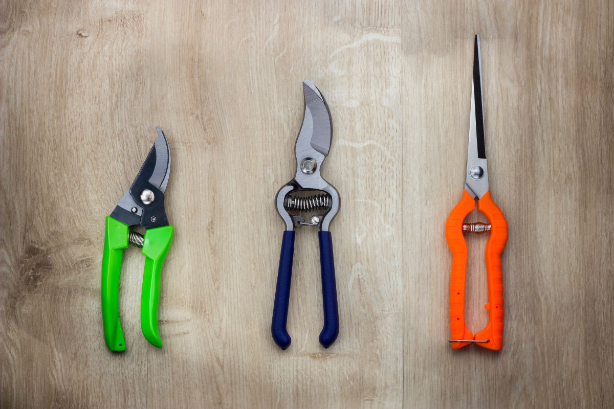 Three types of pruning shears on a wooden surface: on the left, green-handled bypass garden pruners; in the middle, blue-handled anvil pruners; on the right, orange-handled long-reach pruners perfect for trimming Aerogarden roots.