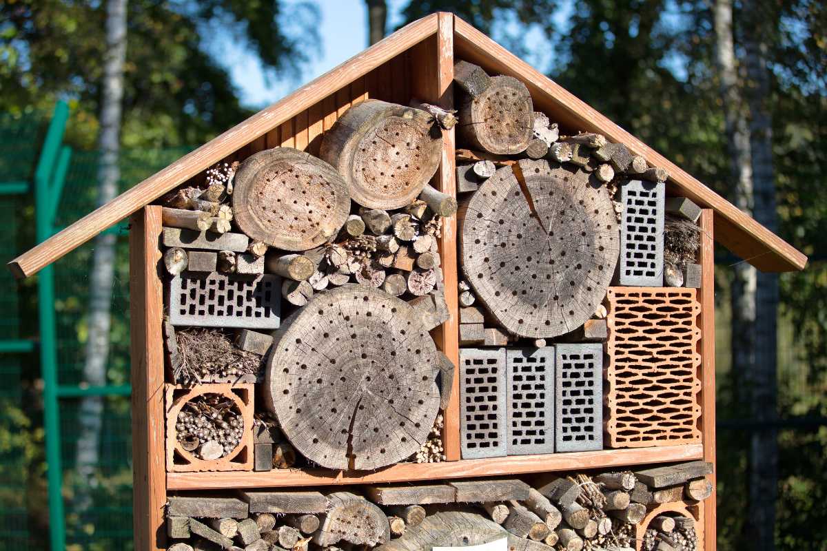 A wooden beneficial insect house with various natural materials such as logs with drilled holes, sticks, and bricks, providing habitat for helpful insects. 