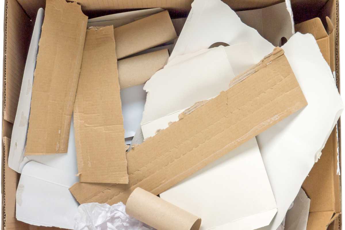 A cardboard box filled with various pieces of torn cardboard, paper, and empty toilet paper rolls, all of which appear to be recycling materials ideal for composting. 