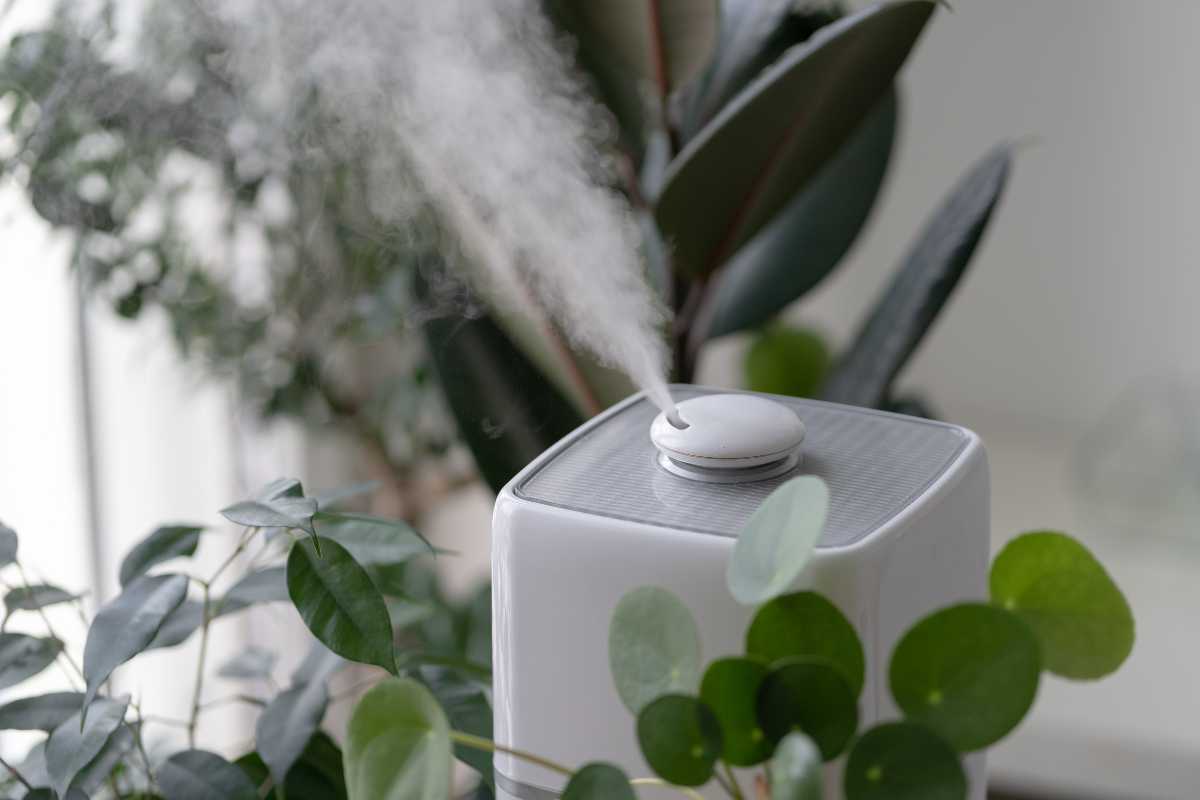 A white humidifier releasing a stream of warm mist into the air, surrounded by various green plants in a bright environment.