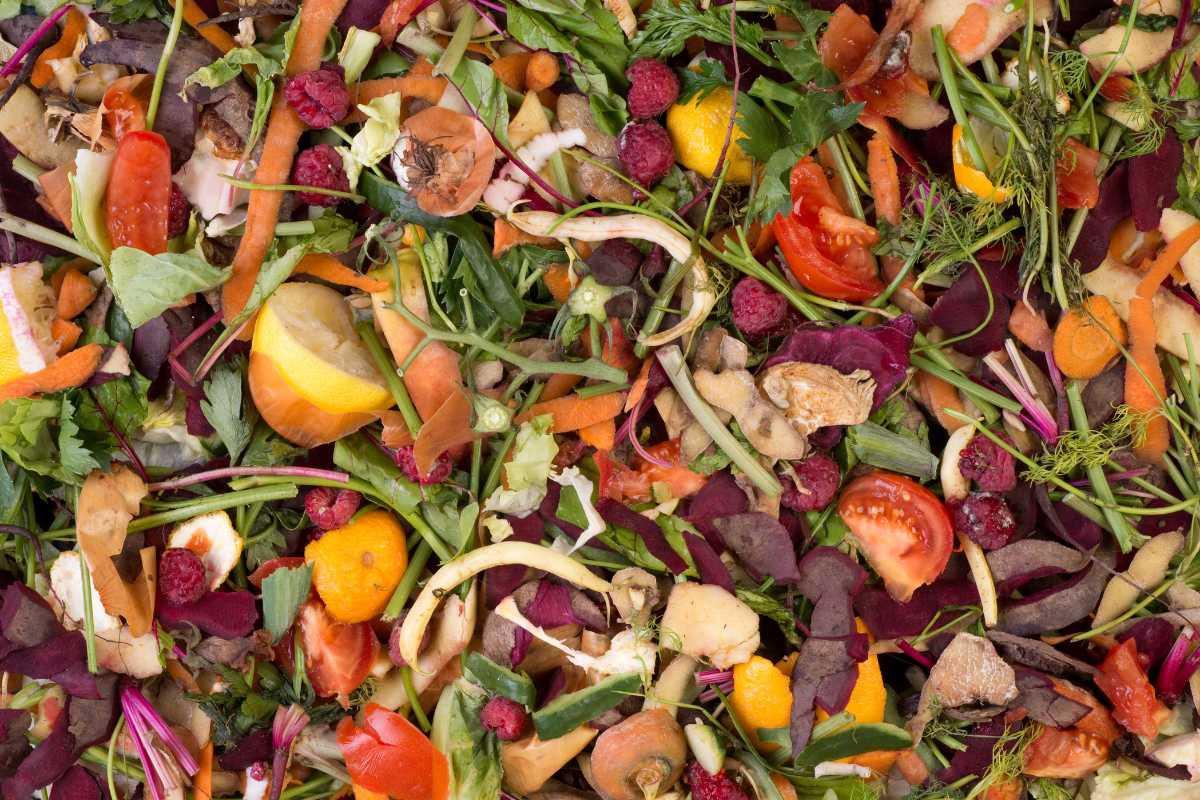 A colorful assortment of food scraps and compostable material, including fruit peels, vegetable bits, leafy greens, and other organic waste.