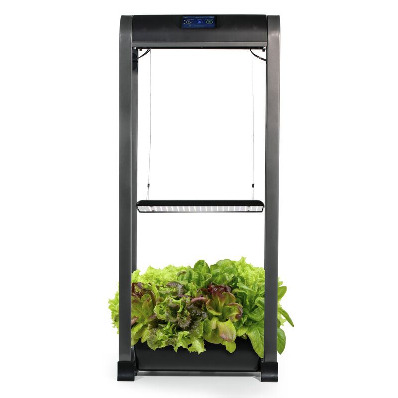 An AeroGarden Farm in black, with a vertical hydroponic design and built-in LED grow light above lush green lettuce. 