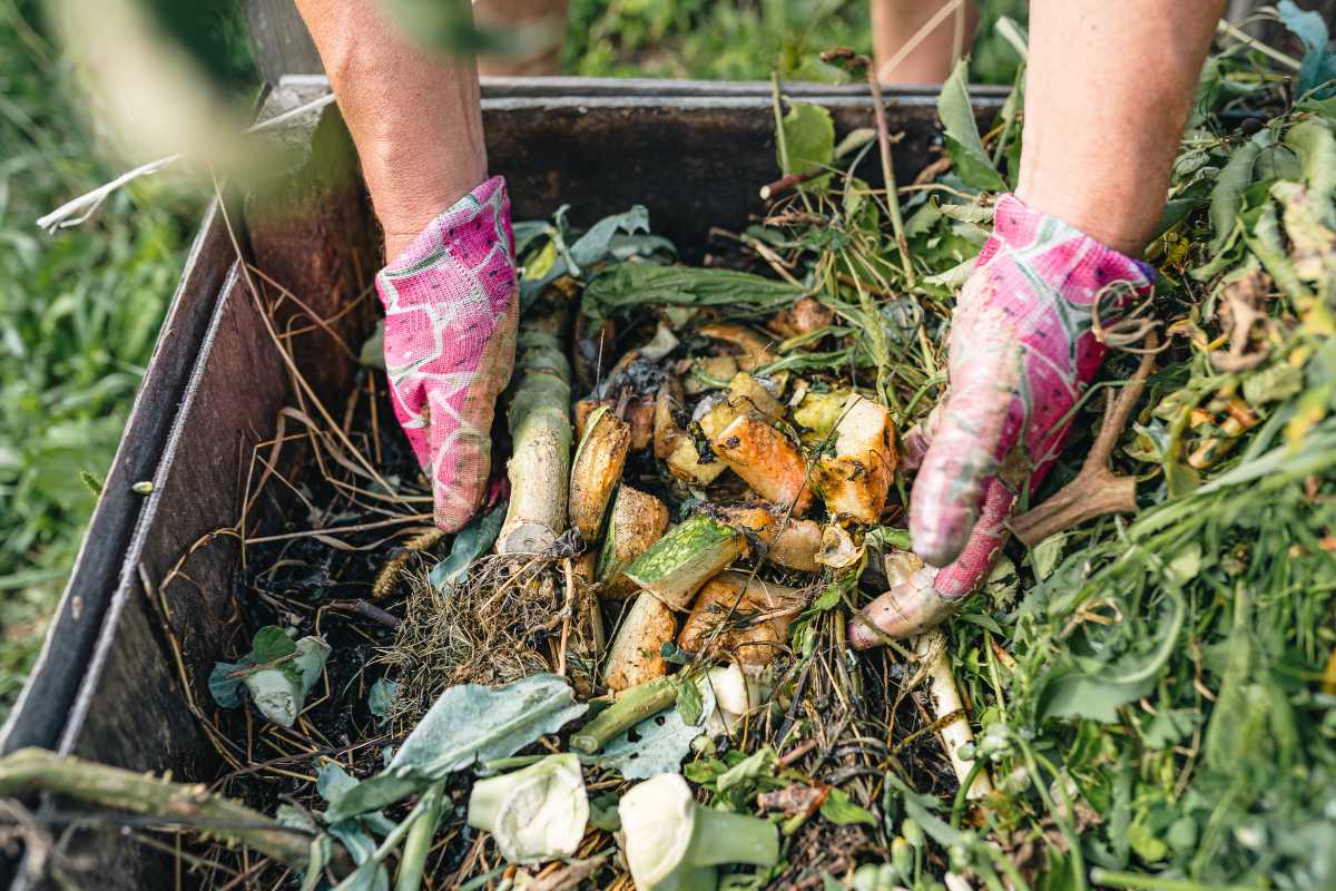 Hands wearing pink gloves are sorting through a compost bin filled with various organic waste materials like fruit peels, vegetable scraps, and plant matter.