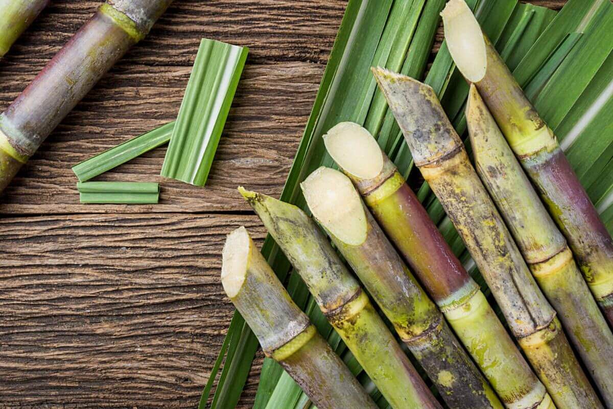 A bundle of freshly cut sugarcane stalks arranged on a wooden surface with green sugarcane leaves scattered around. Some pieces of the sugarcane are cut into smaller sections.