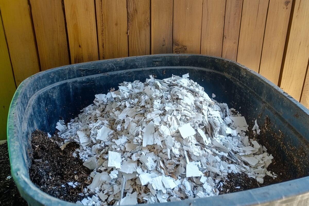 A black plastic bin is filled with shred paper on top of soil, placed against a wooden fence background.