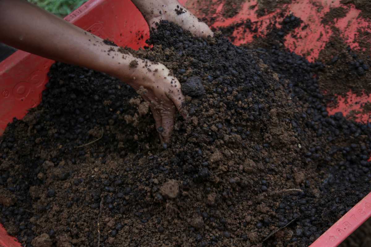 Hands mixing dark, rich soil in a red container. The well-textured soil includes small pebbles and bits of organic material.