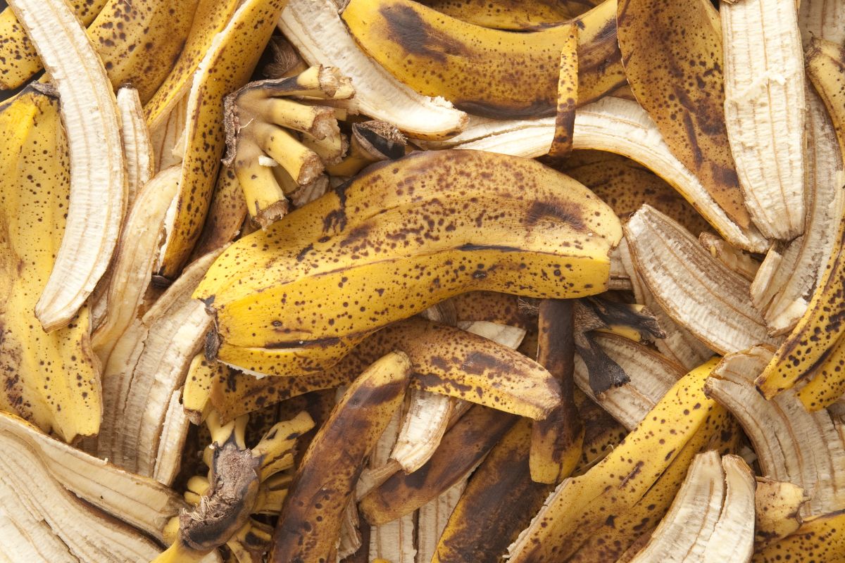 A pile of overripe banana peels showcases brown spots and darkened areas among the yellow and brown coloration.