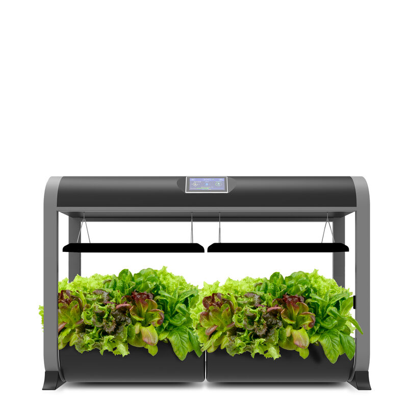 An AeroGarden Farm with LED grow lights cultivating lush green and red lettuce indoors. It features dual growing compartments and a top digital control panel.