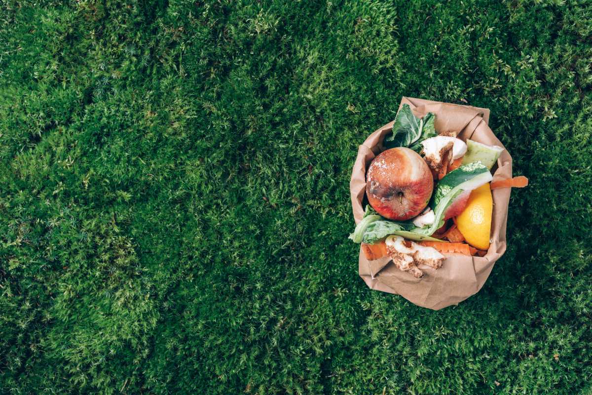 A brown paper bag filled with various food scraps including a tomato, lemon, carrot peels, and vegetable leaves sits on a green grassy surface.