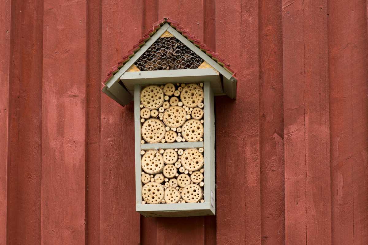 A ladybug shelter on a red wooden wall. 