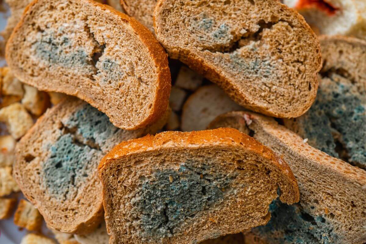 Slices of moldy bread with green and blue patches on the surface ideal for composting.