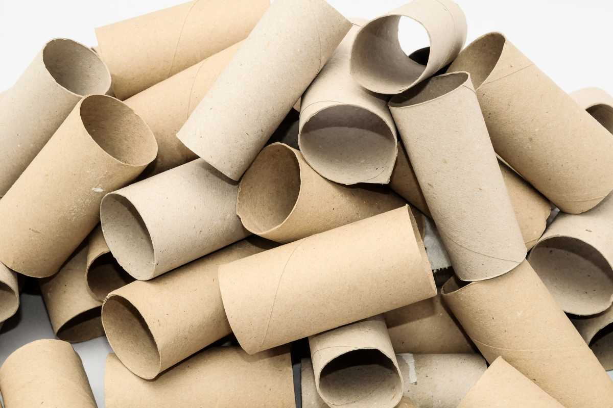 A pile of empty cardboard toilet paper rolls scattered haphazardly against a white background. 