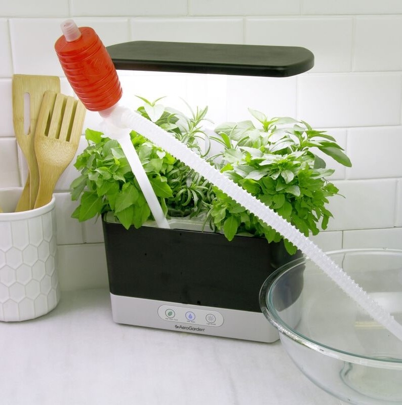 A AeroGarden with lush green herbs is on a white counter. A red and white siphoning pump is attached for watering, its tube leading into a glass bowl. 