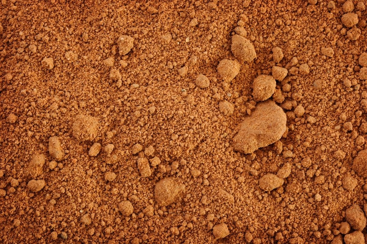 Reddish-brown clay soil with a mix of fine particles and small clumps.