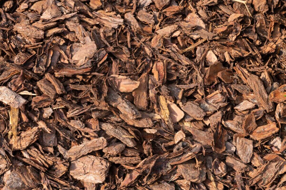 Close-up image of brown wood mulch pieces. The texture is rough with variously sized chips and fragments, creating a rich, natural look.