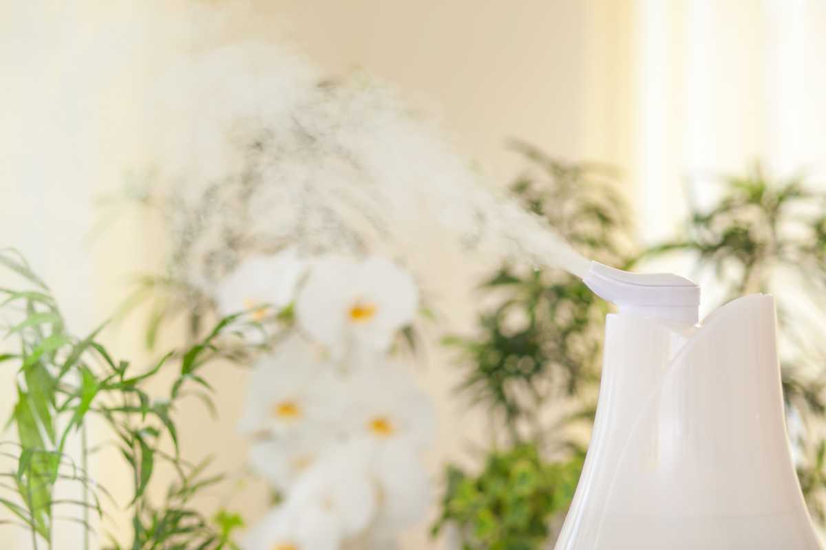 A white humidifier releasing a mist of warm water vapor into the air. 