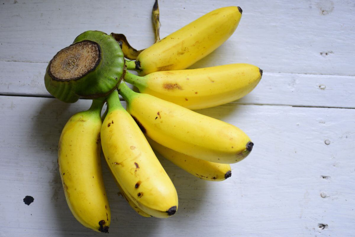A bunch of ripe yellow Lady Finger bananas with a green stem lies on a white wooden surface. 