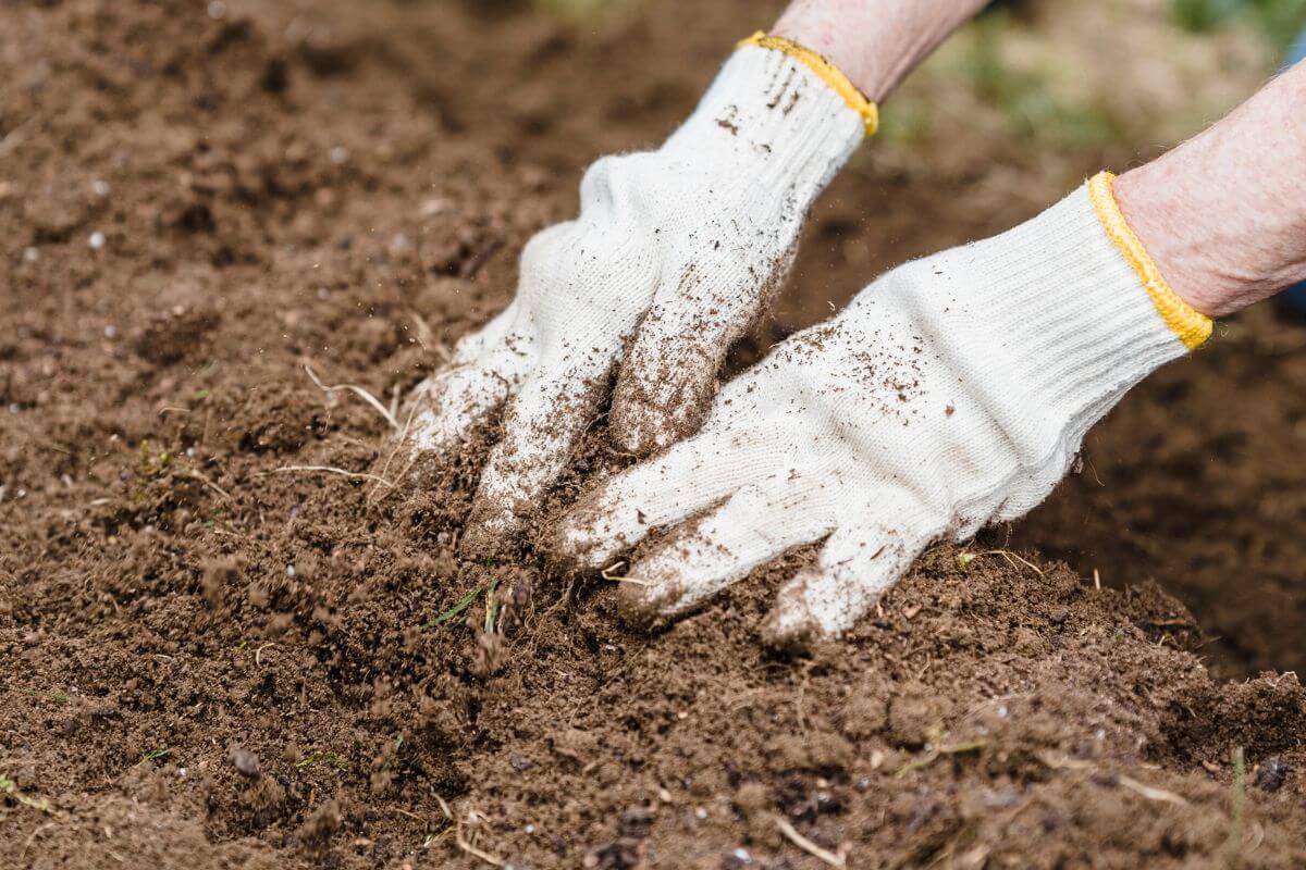 Close-up of a person's hands in white gardening gloves digging into the soil.