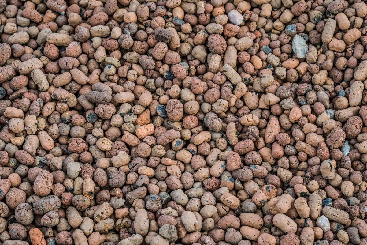 A close-up view of a large pile of small, round, and irregularly shaped hydroponic clay pebbles.