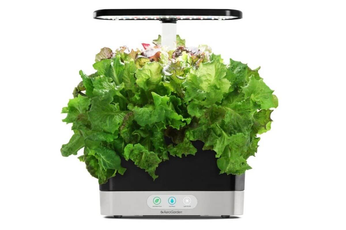 A AeroGarden with a black and silver base is growing lush green and red leafy vegetables under an overhead LED grow light. 