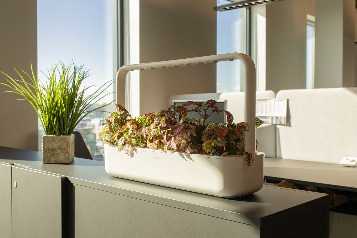 Smartgarden 9 Indoor Garden system with vibrant plants is placed on a dark-colored cabinet.