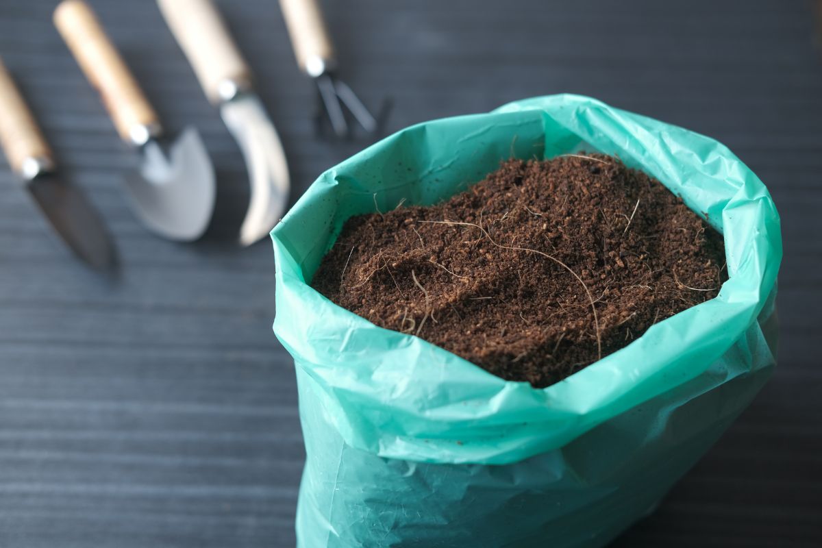 A green plastic bag filled with brown coco peat placed on a dark wooden surface.