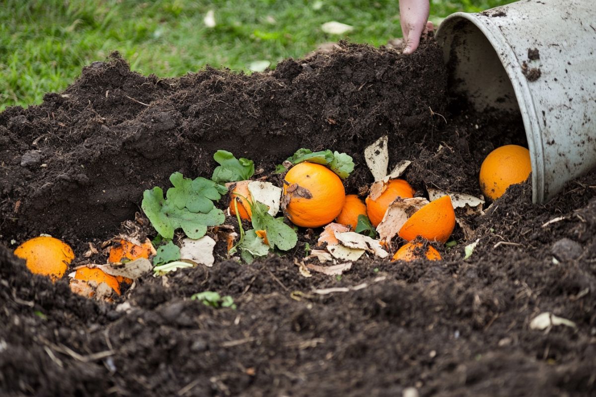 A pile of soil partially covers decomposing orange peels, green leaves, and other organic matter, spilling out from a tipped-over white bucket.