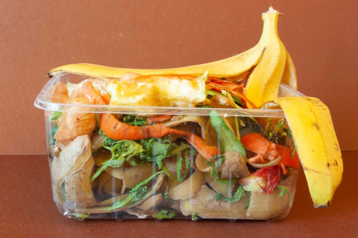 A clear plastic container filled with various food scraps, including banana peels, apple cores, potato peels, and vegetable trimmings, sits against a brown background.