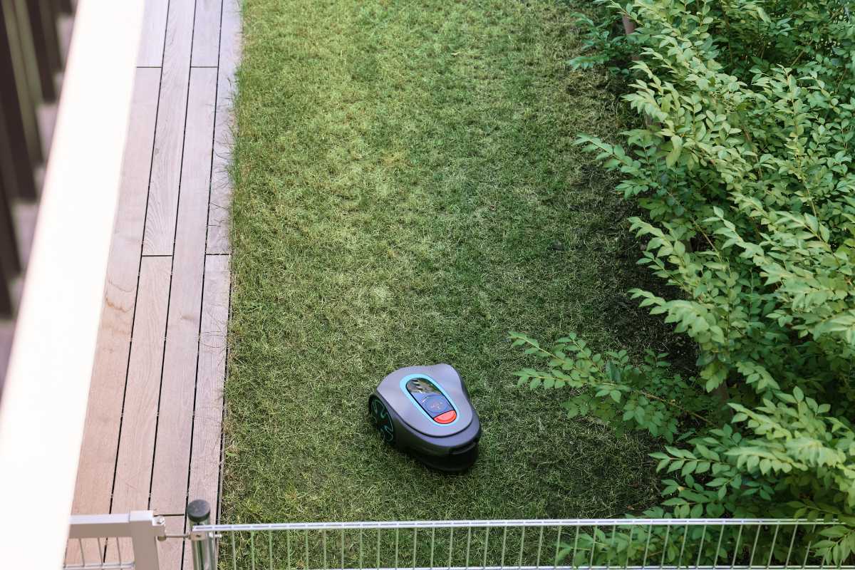 A best robotic lawn mower moves across a small, neatly trimmed grassy yard bordered by a wooden deck on one side and dense green bushes on the other. 