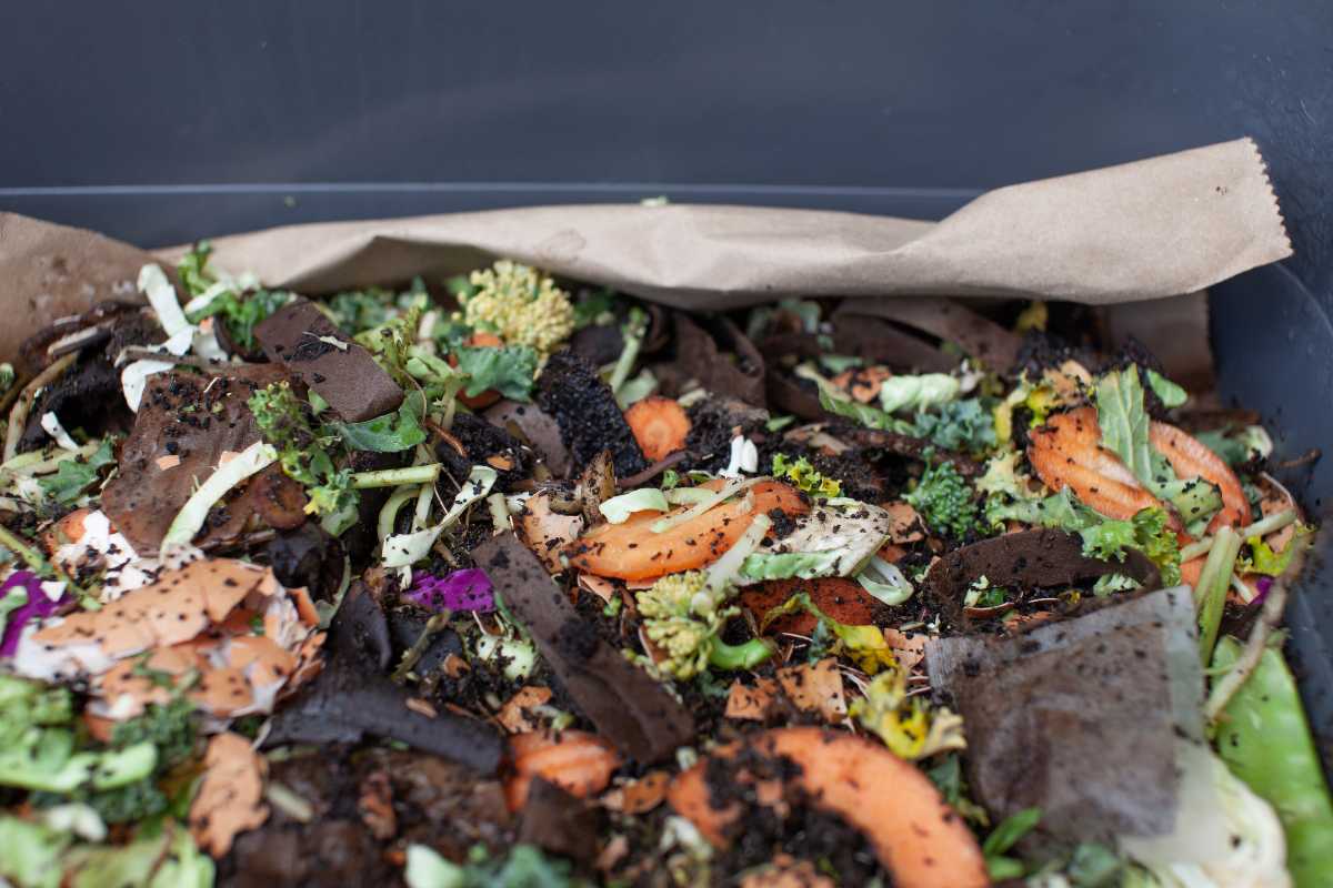 A worm compost bin filled with various organic waste, including vegetable scraps, coffee grounds, and paper materials. 