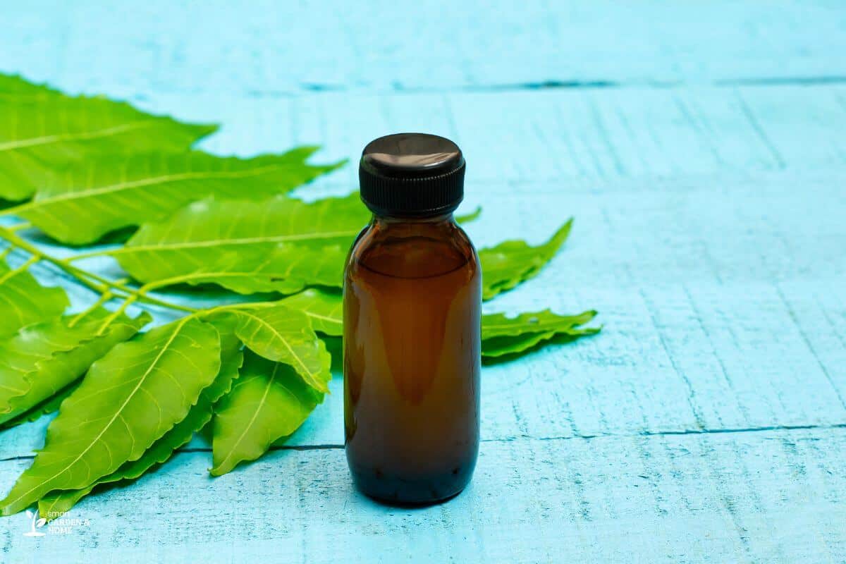 Neem Oil For Garden