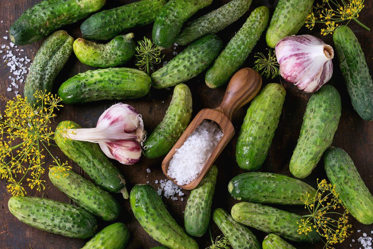 A variety of fresh cucumbers are scattered across a dark wooden surface, accompanied by sprigs of dill, garlic bulbs, and a wooden scoop filled with coarse sea salt. 