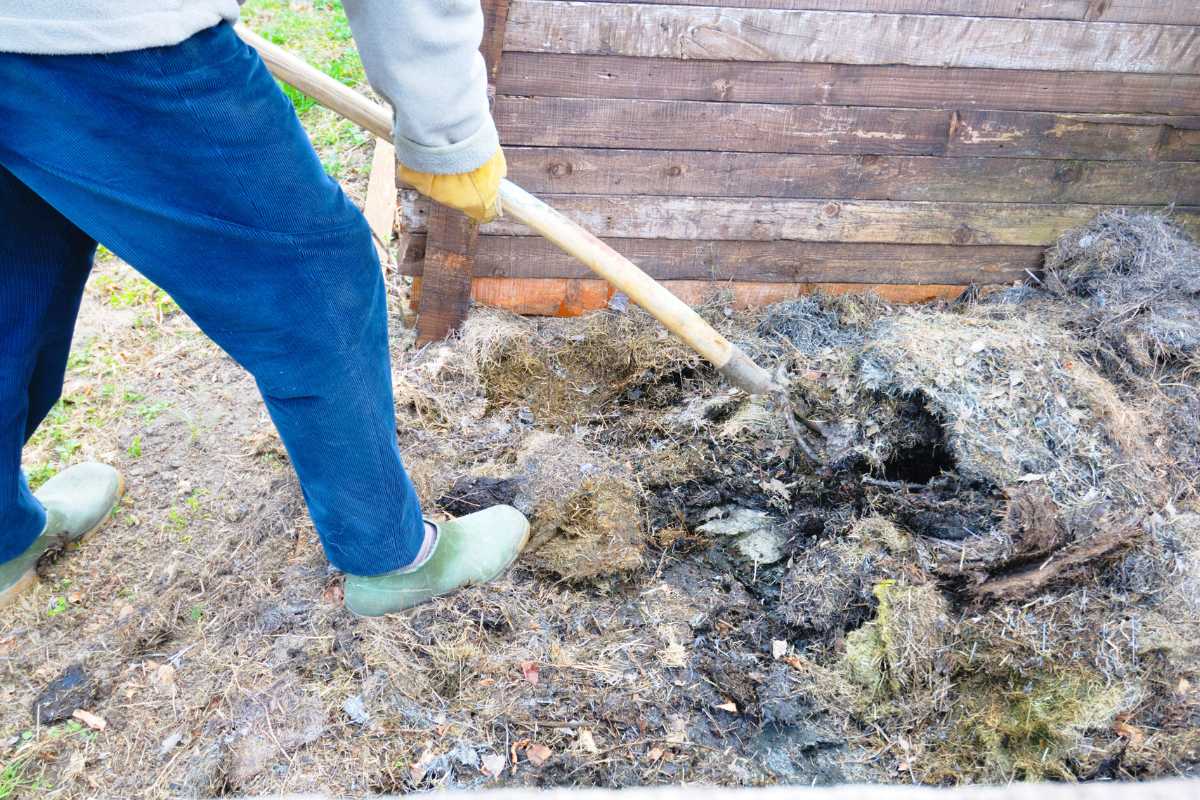 A person in blue jeans and green boots is turning compost with a pitchfork. The pile, made of decomposed organic material, sits beside a wooden structure. 