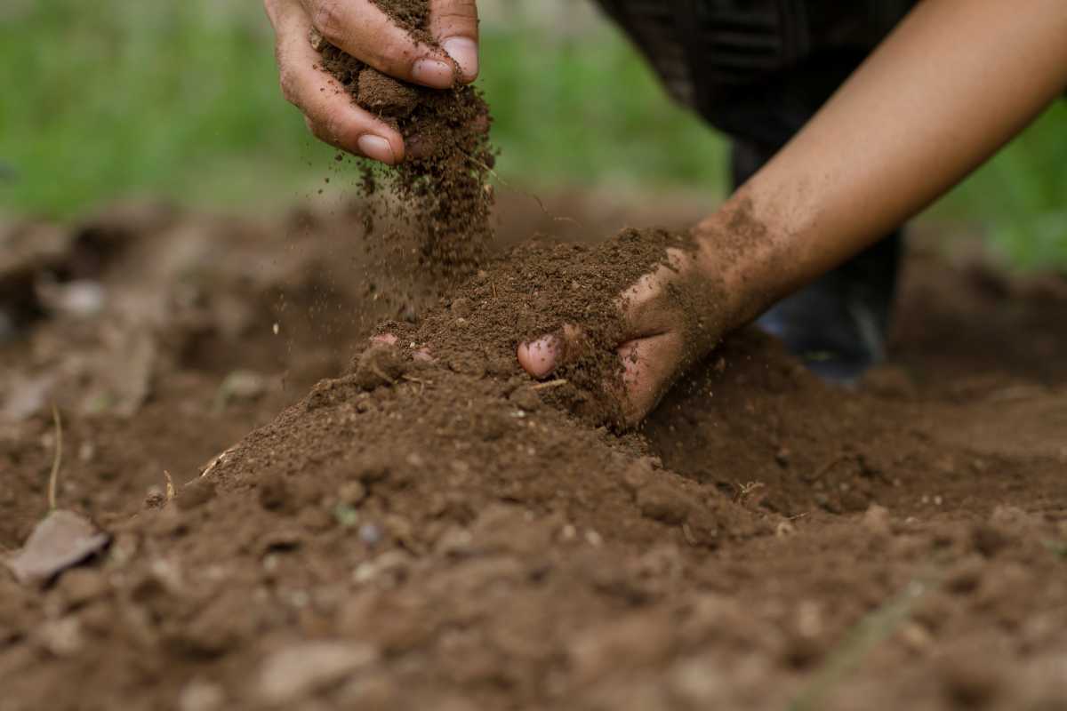 Two hands working with soil outdoors. One hand is sprinkling soil over a small mound, while the other is holding and crumbling soil.