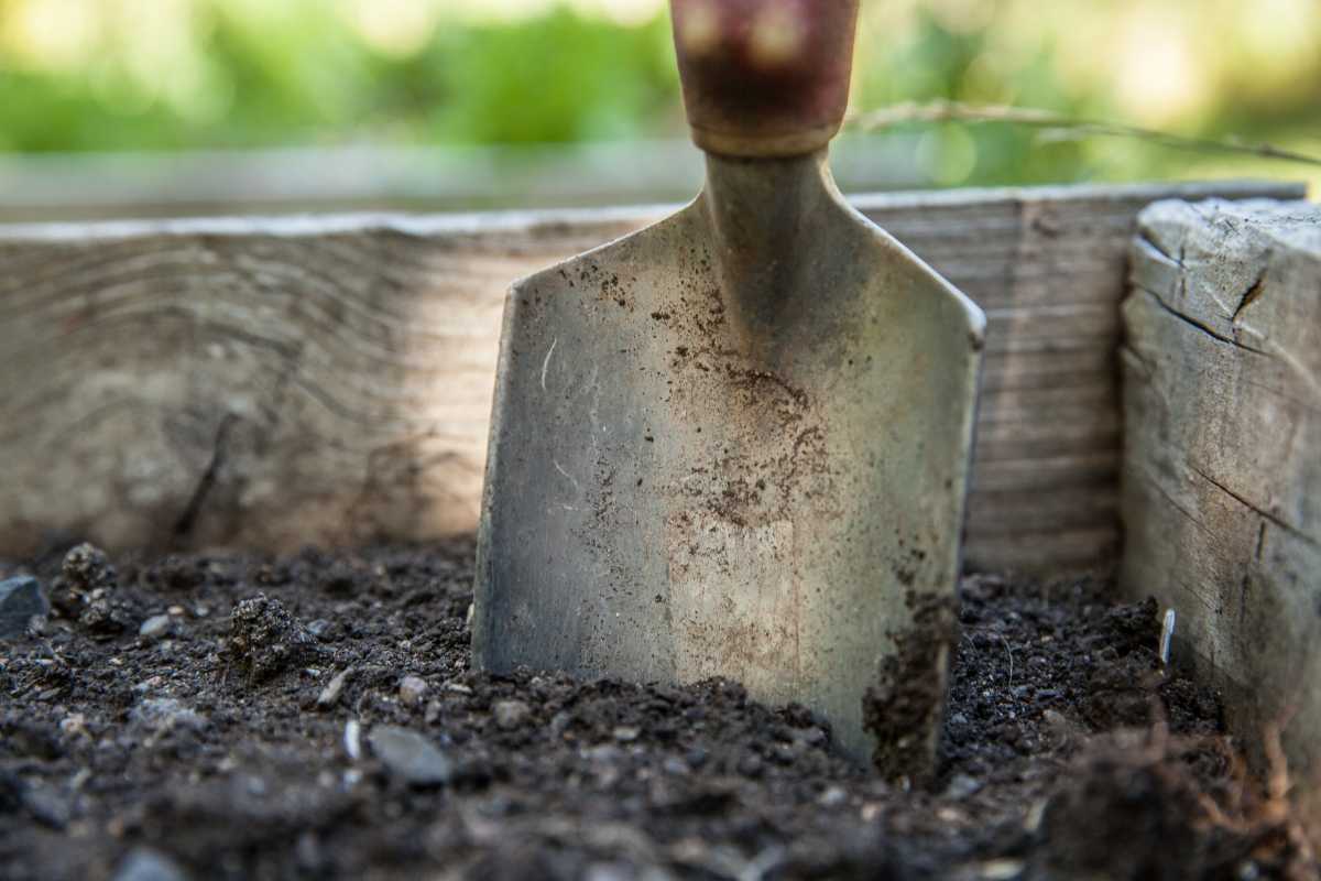 A slightly worn garden trowel partially buried in dark, rich topsoil. 