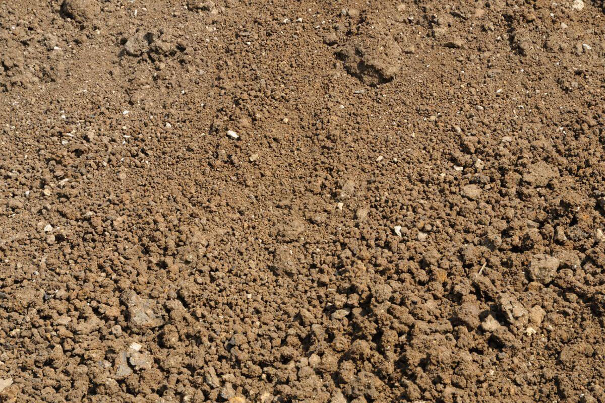 Close-up of brown silt soil with a mix of fine and coarse textures, including small clumps and pebbles.